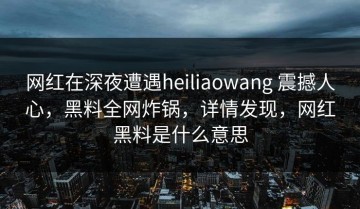 网红在深夜遭遇heiliaowang 震撼人心，黑料全网炸锅，详情发现，网红黑料是什么意思