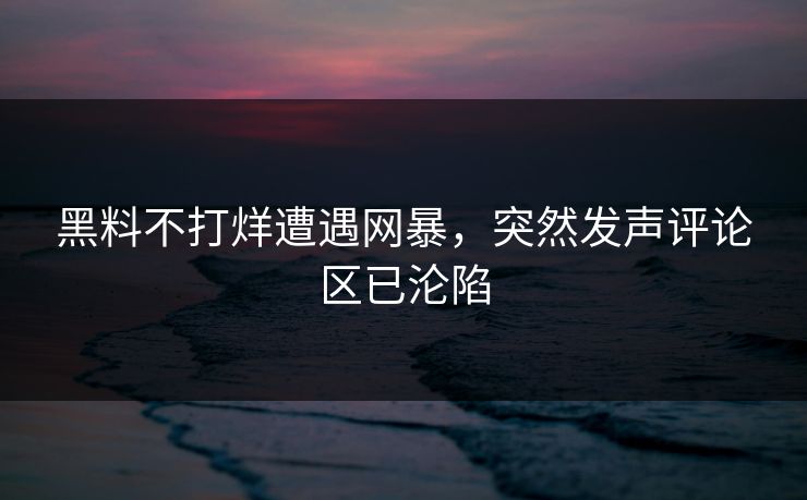 黑料不打烊遭遇网暴,突然发声评论区已沦陷 黑料不打烊遭遇网暴,突然发声评论区已沦陷