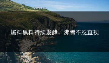 爆料黑料持续发酵，沸腾不忍直视