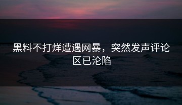 黑料不打烊遭遇网暴，突然发声评论区已沦陷