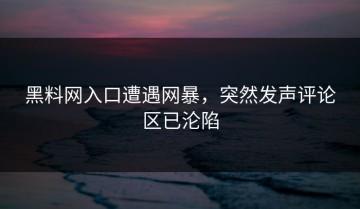 黑料网入口遭遇网暴，突然发声评论区已沦陷