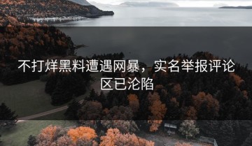 不打烊黑料遭遇网暴，实名举报评论区已沦陷