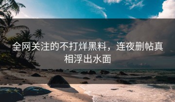 全网关注的不打烊黑料，连夜删帖真相浮出水面