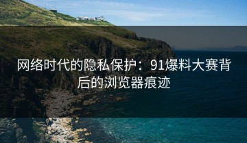 网络时代的隐私保护：91爆料大赛背后的浏览器痕迹