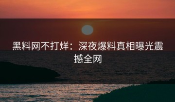 黑料网不打烊：深夜爆料真相曝光震撼全网