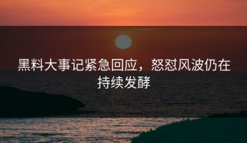 黑料大事记紧急回应，怒怼风波仍在持续发酵