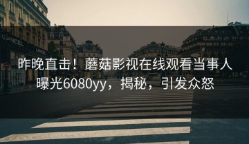 昨晚直击！蘑菇影视在线观看当事人曝光6080yy，揭秘，引发众怒