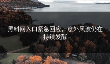 黑料网入口紧急回应，意外风波仍在持续发酵