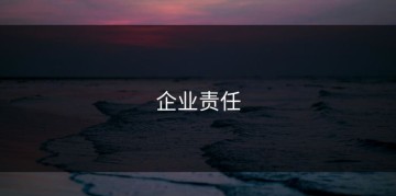 企业责任