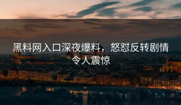 黑料网入口深夜爆料，怒怼反转剧情令人震惊