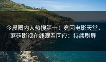 今晨圈内人热搜第一！竟因电影天堂，蘑菇影视在线观看回应：持续刷屏