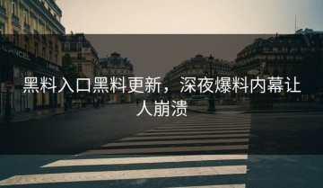 黑料入口黑料更新，深夜爆料内幕让人崩溃