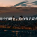 黑料网今日曝光，狗血背后疑点重重
