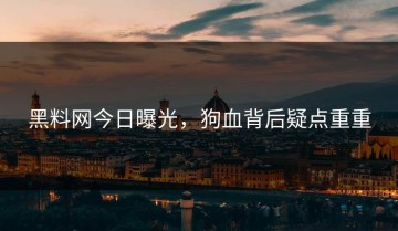 黑料网今日曝光，狗血背后疑点重重