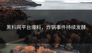 黑料网平台爆料，炸锅事件持续发酵