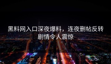 黑料网入口深夜爆料，连夜删帖反转剧情令人震惊