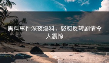 黑料事件深夜爆料，怒怼反转剧情令人震惊