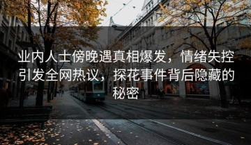 业内人士傍晚遇真相爆发，情绪失控引发全网热议，探花事件背后隐藏的秘密