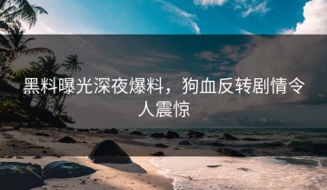 黑料曝光深夜爆料，狗血反转剧情令人震惊
