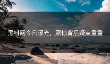 黑料网今日曝光，震惊背后疑点重重