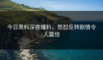 今日黑料深夜爆料，怒怼反转剧情令人震惊