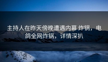 主持人在昨天傍晚遭遇内幕 炸锅，电鸽全网炸锅，详情深扒