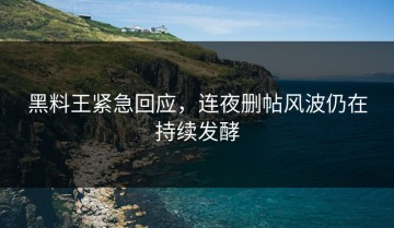 黑料王紧急回应，连夜删帖风波仍在持续发酵