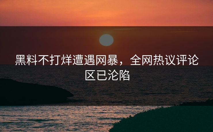 黑料不打烊遭遇网暴，全网热议评论区已沦陷