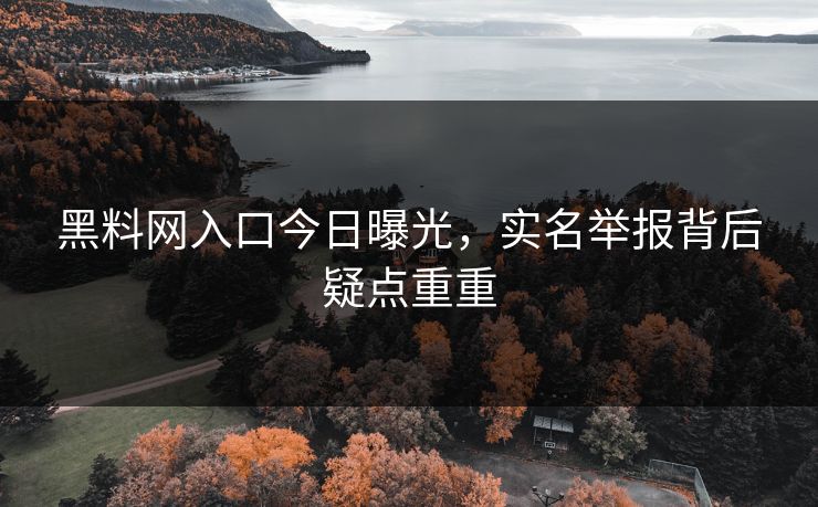 黑料网入口今日曝光，实名举报背后疑点重重