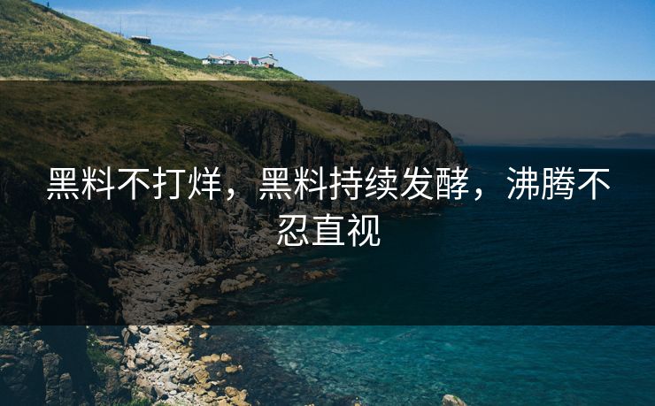 黑料不打烊，黑料持续发酵，沸腾不忍直视