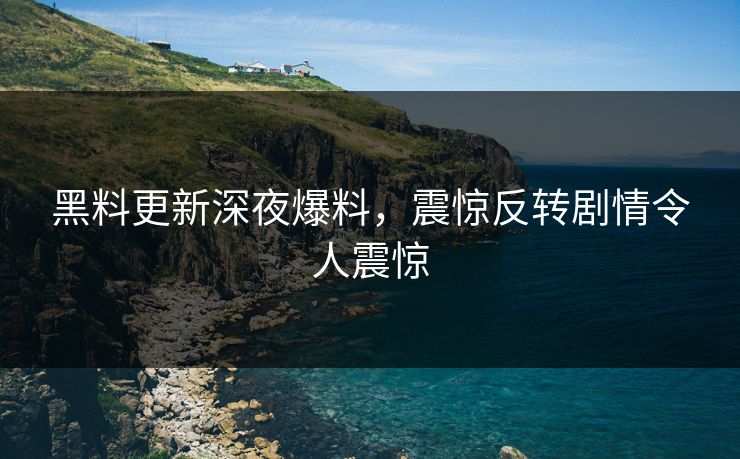 黑料更新深夜爆料，震惊反转剧情令人震惊