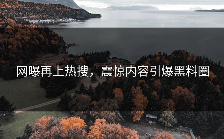 网曝再上热搜，震惊内容引爆黑料圈