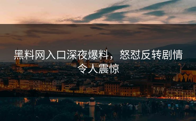 黑料网入口深夜爆料，怒怼反转剧情令人震惊