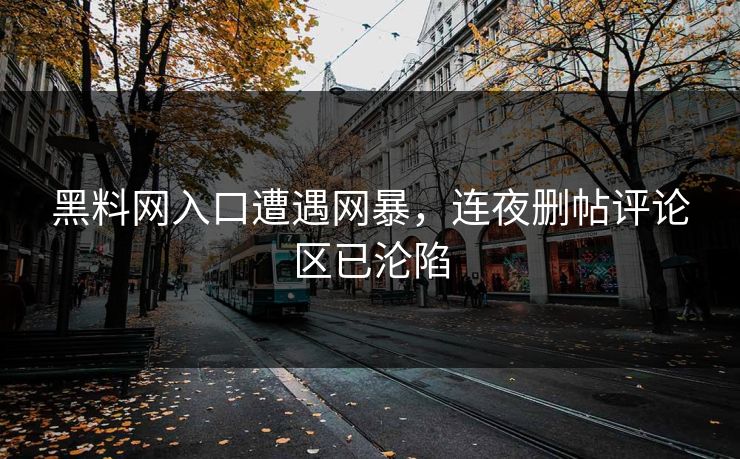 黑料网入口遭遇网暴，连夜删帖评论区已沦陷