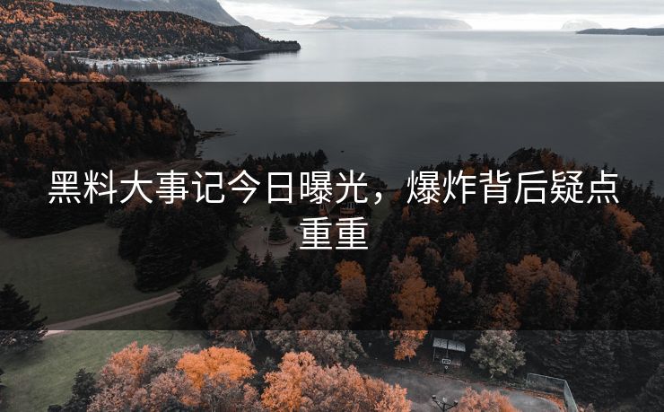 黑料大事记今日曝光，爆炸背后疑点重重